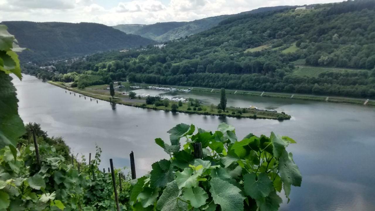 Weingut Sauer-Kettermann Villa Enkirch Bagian luar foto